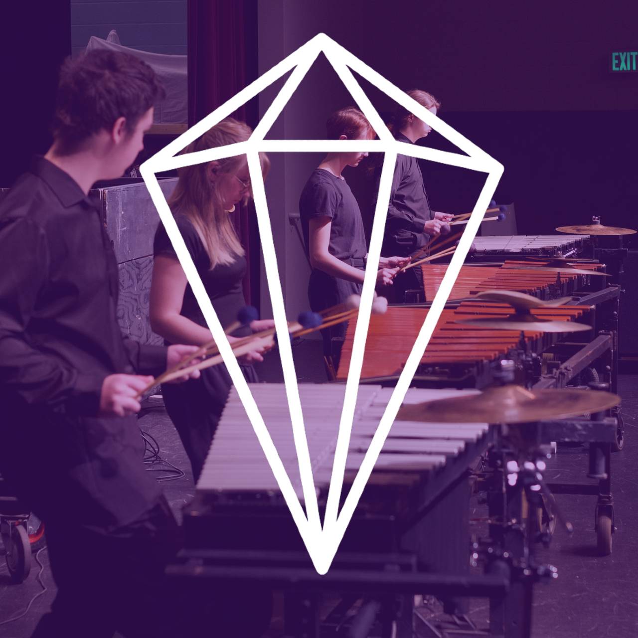 Cover for boise gems event, BGI Auditions