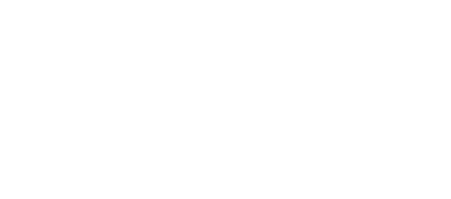 Ghost Stallion logo